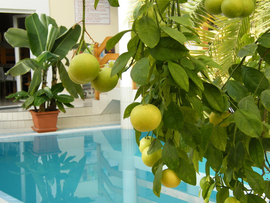 Wellness Hotel Kakadu Keszthely Zewnętrze zdjęcie